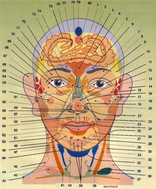 Диагностика здоровья по лицу и шее