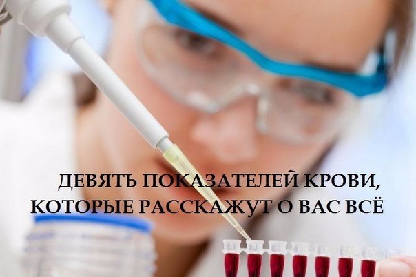 Девять показателей крови, которые расскажут о вас всё